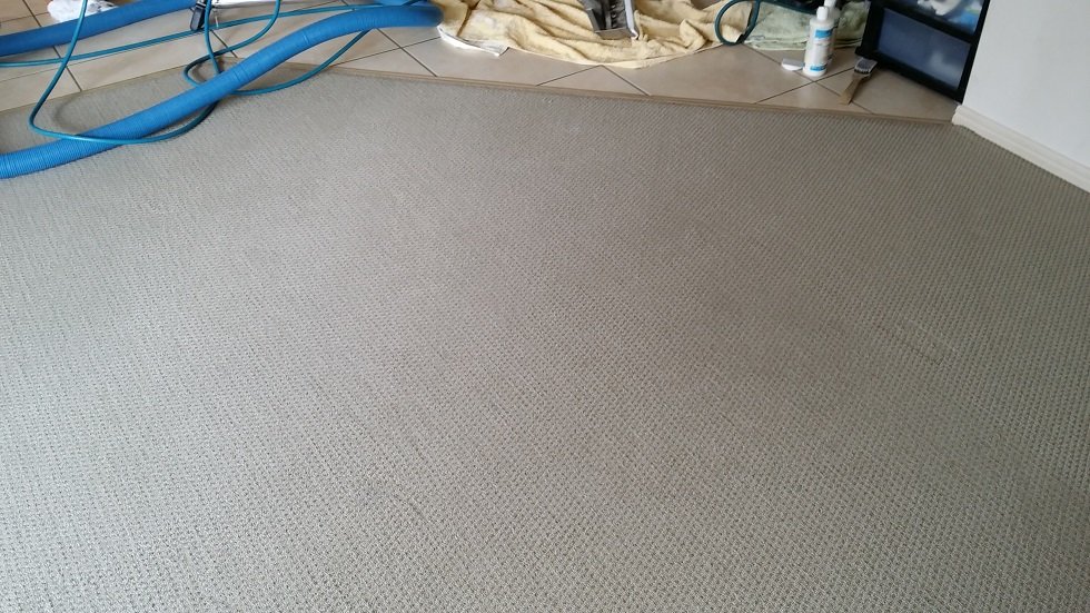 Carpet before and after cleaning in Crestmead