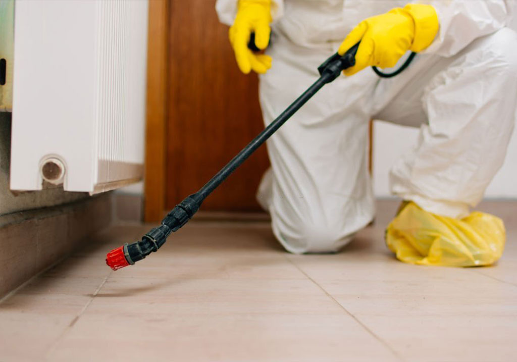 A technician spraying along a skirting board