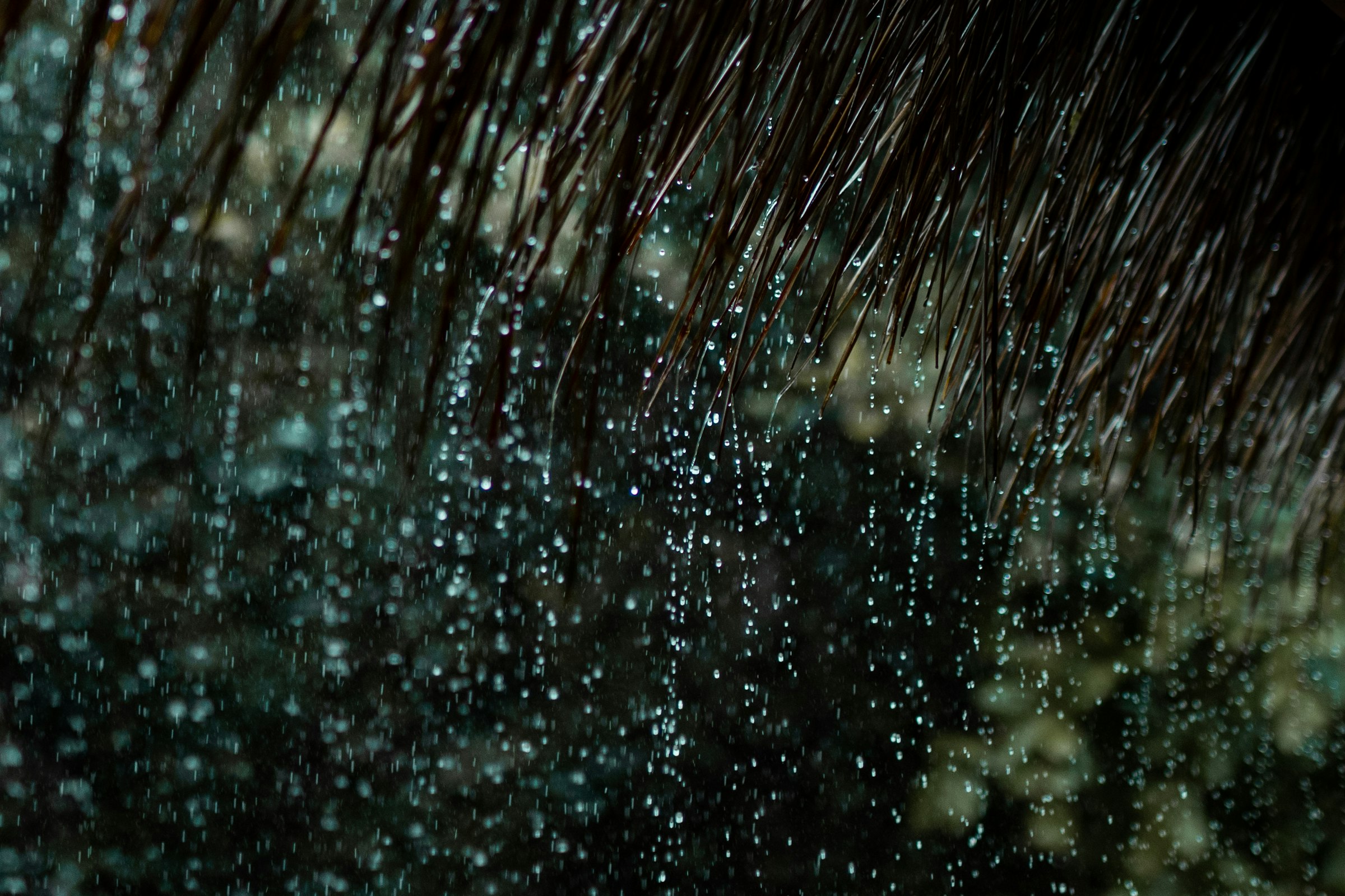 Heavy rain falling from a roof